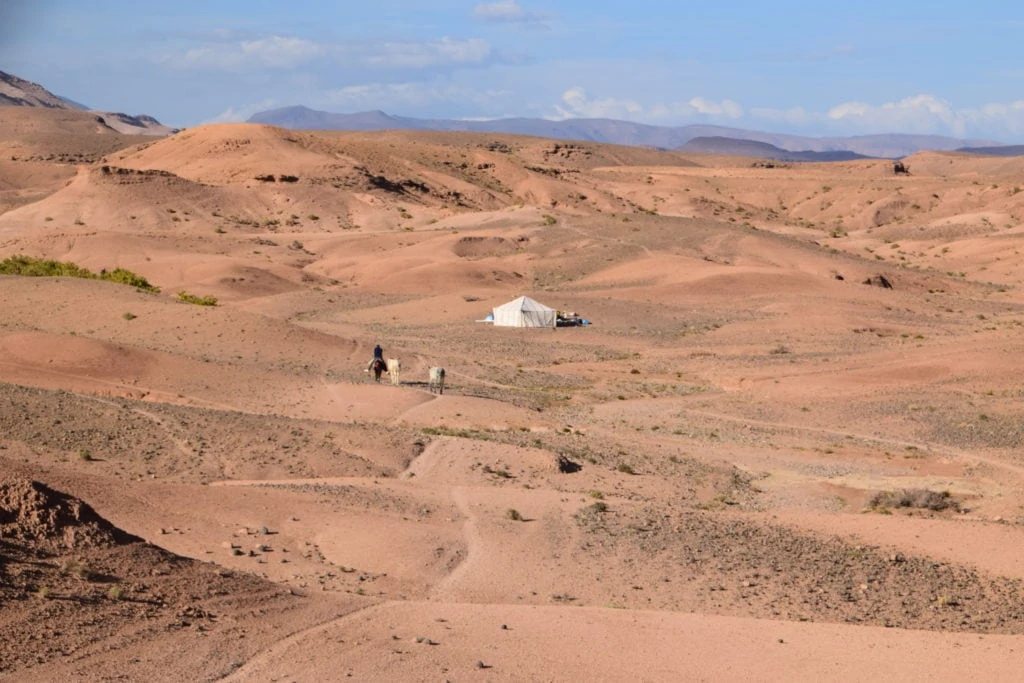 Trekking dans l'Atlas marocain