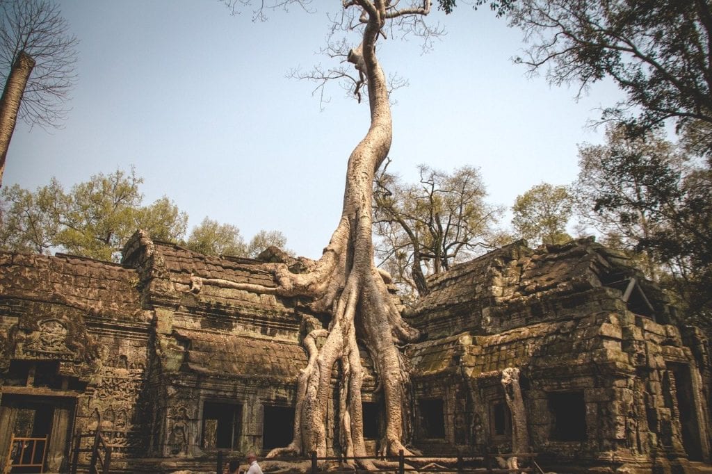 Temple in Cambodia: nature and culture for a post-confinement trip