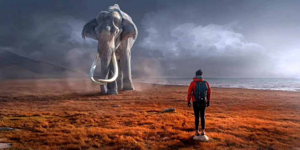rêve d'éléphant