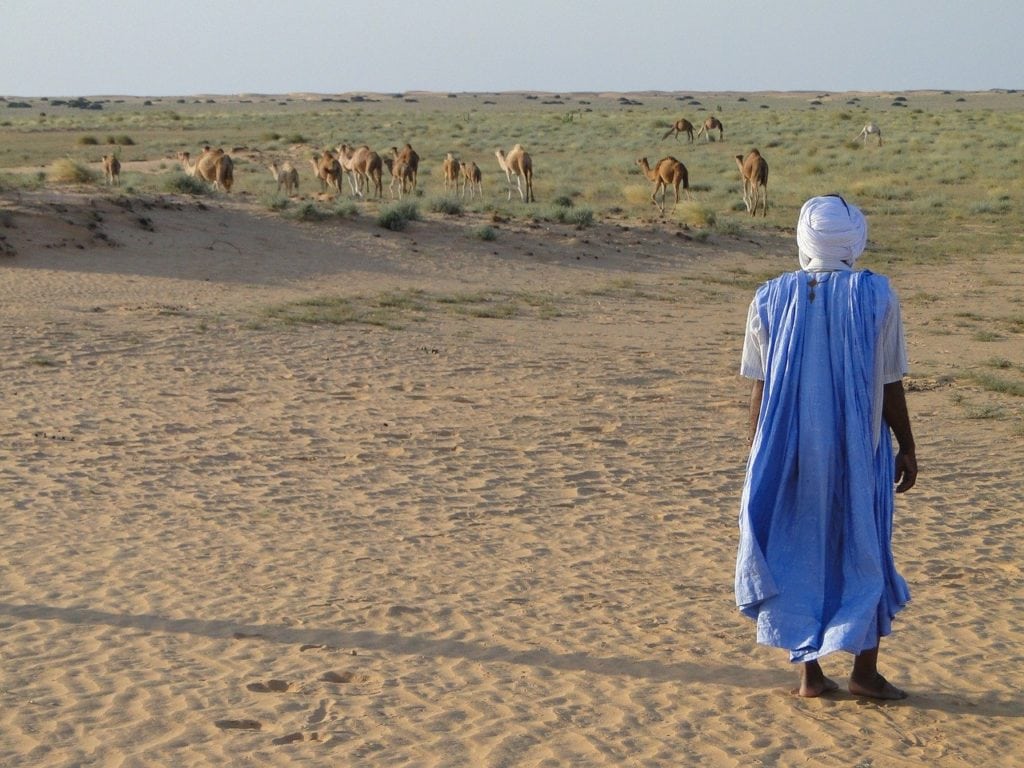 Mauritanian nomad