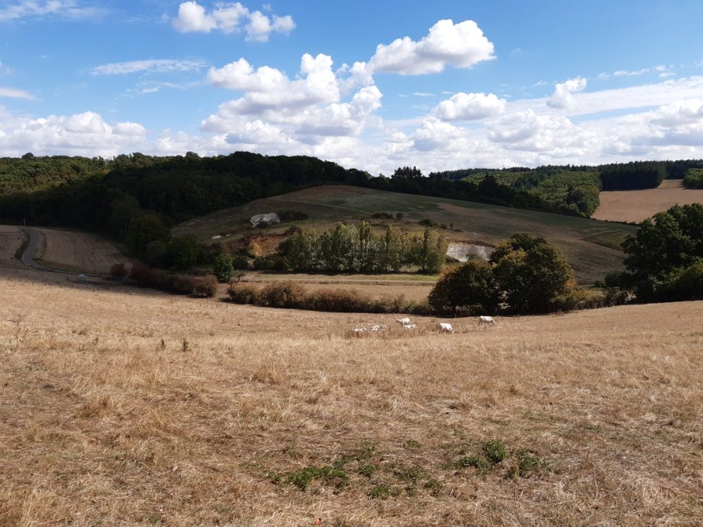 Hilly landscapes of the Yonne 