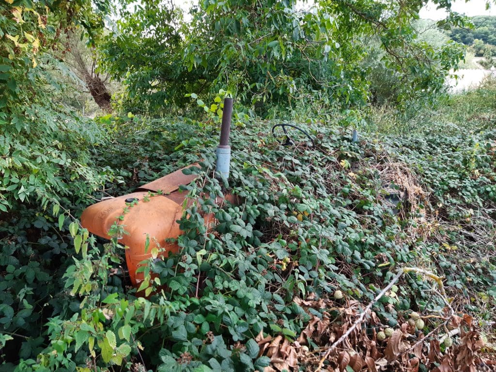 Ivy-covered tractor