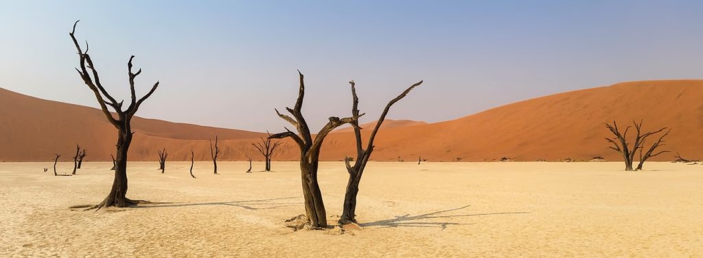 Marcher dans le désert namibien