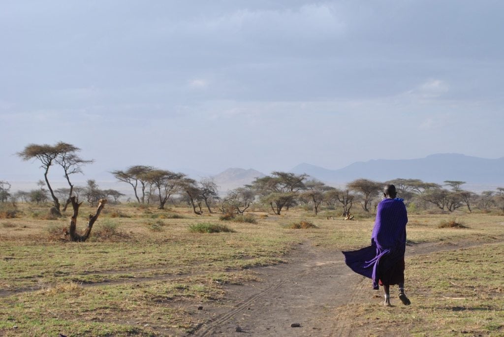 Maasai walking in the plains of the Serengeti