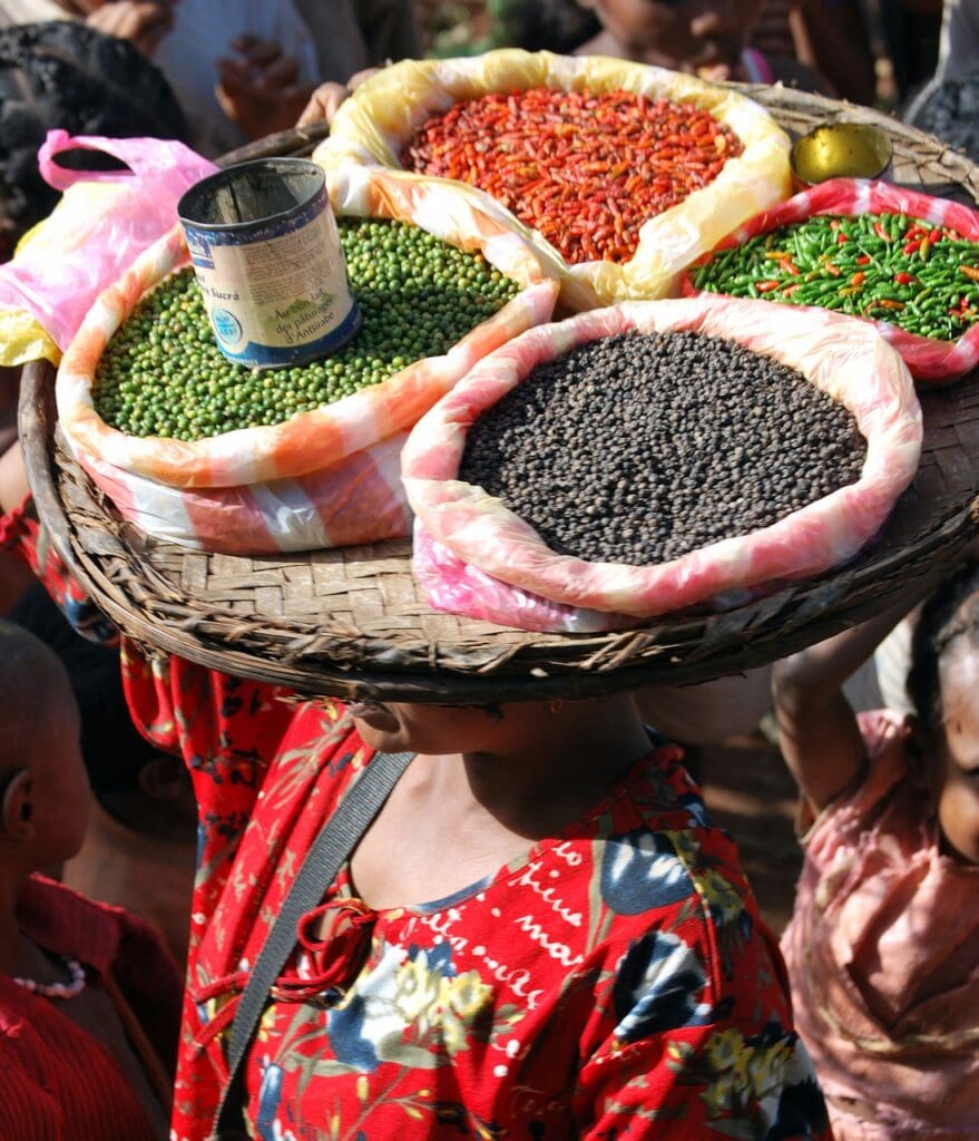 Femme portant des épices sur un marché de madagascar