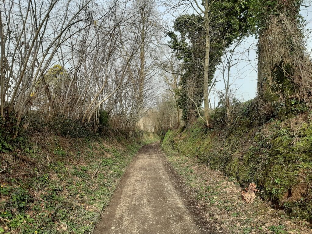 marche dans la campagne normande de Condé-sur-Vire