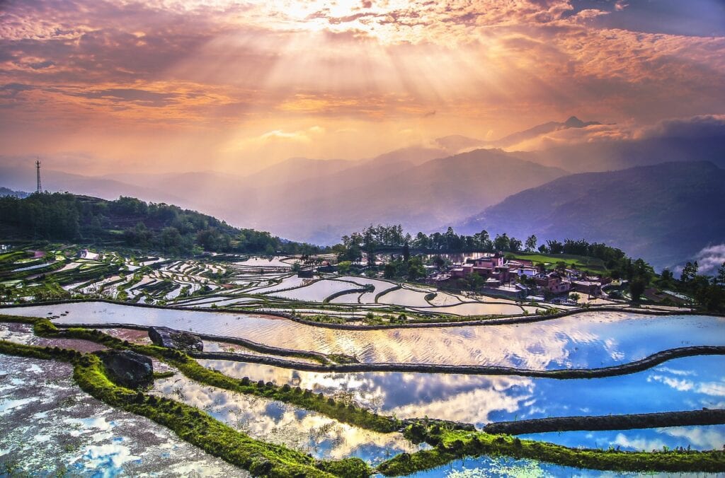 Rizières en terrasse du Yunnan
