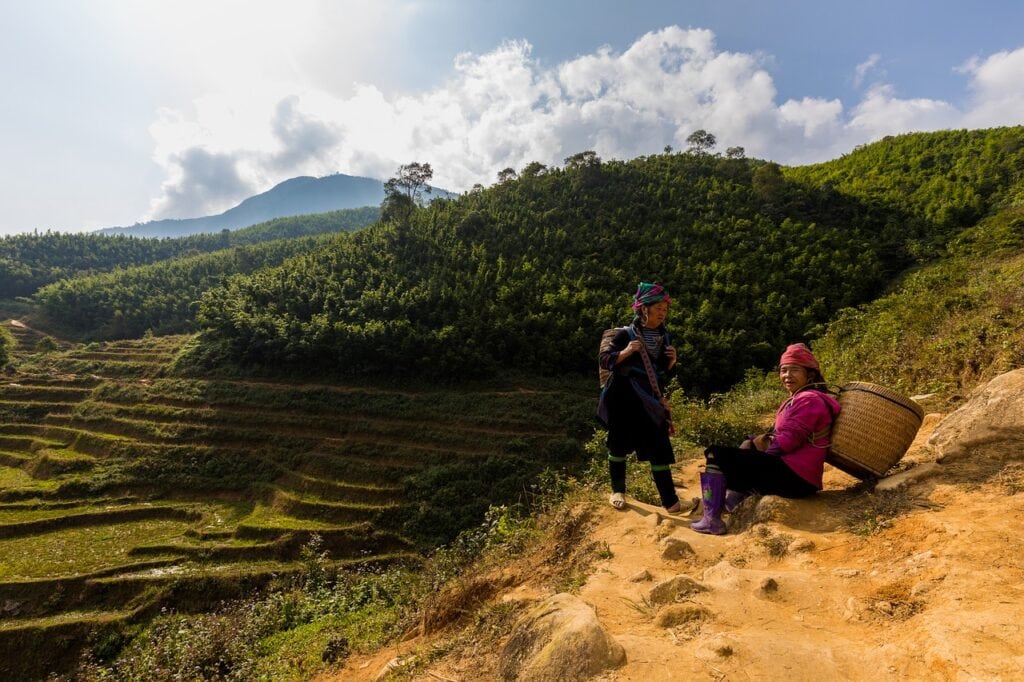 Marche dans les rizières du Vietnam