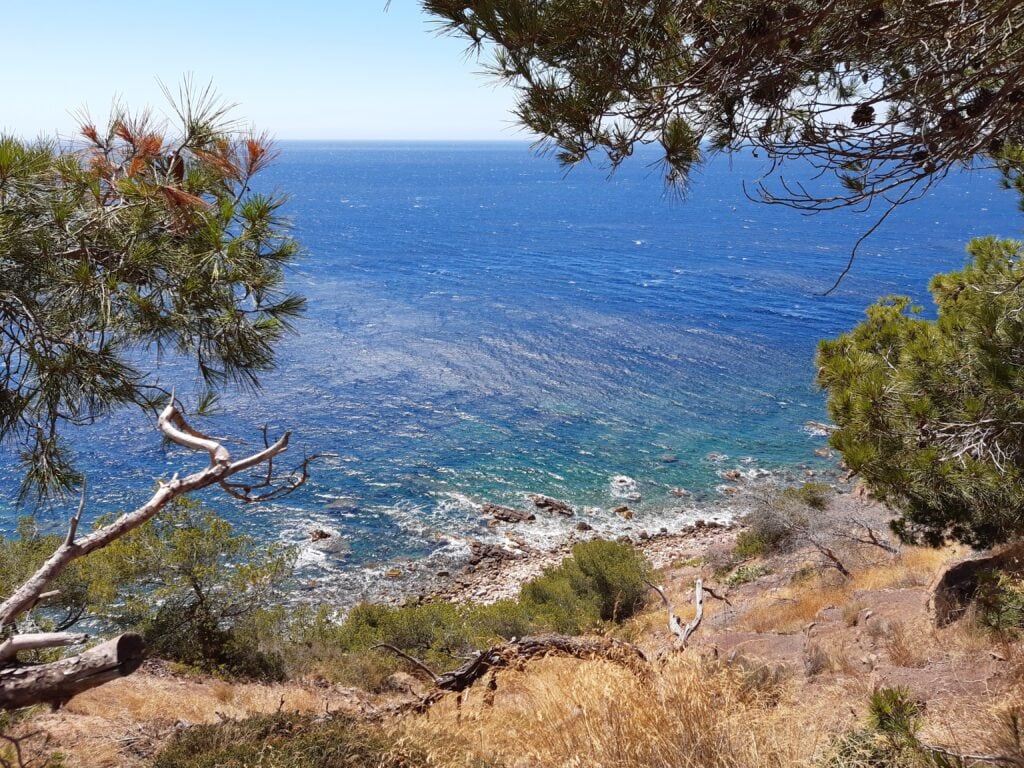 View from the hike on the Saint-Mandrier-sur-Mer peninsula