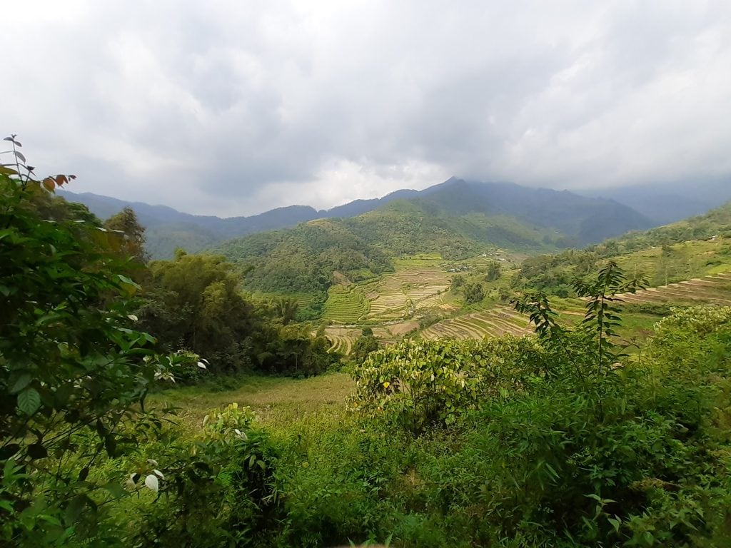 Balade jusqu'à un village de l'ethnie Giay à proximité de Meo Vac