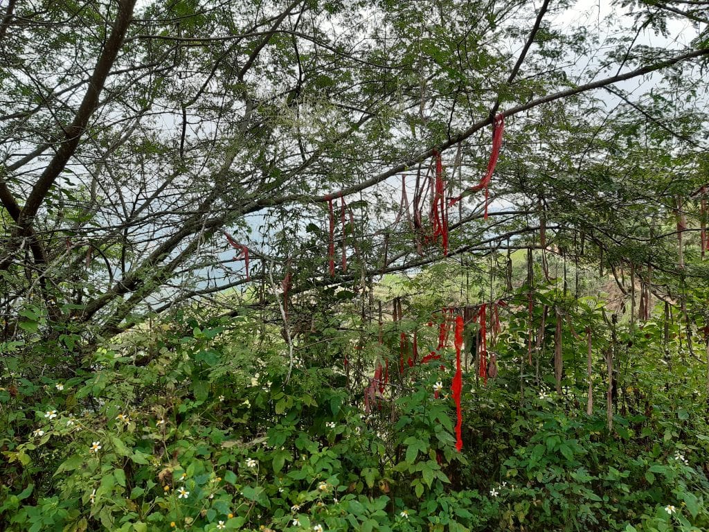 Arbre shamanique recouvert de bandelettes rouges dans la région de Dong Van au Vietnam
