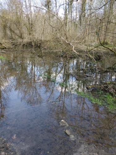 un miroir éphémère