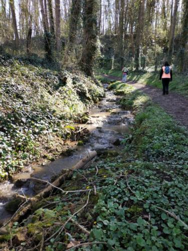 un dernier cours d'eau en étage
