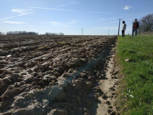 traversée de champs